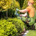 landscaping insurance