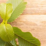 top kratom capsule brands