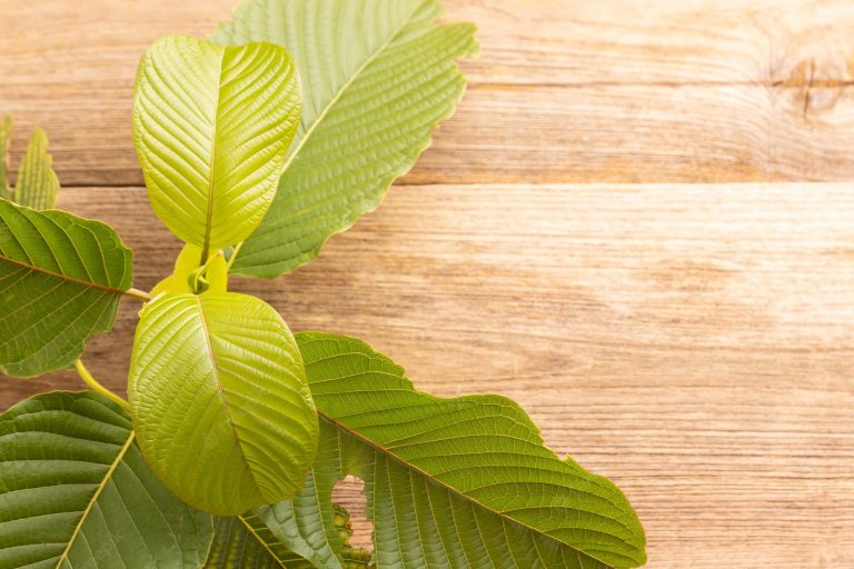 top kratom capsule brands