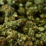 How to buy weed legally?