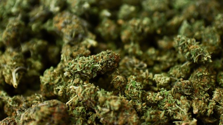 How to buy weed legally?