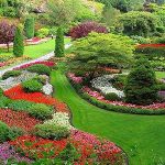 Landscaping Services Near Me