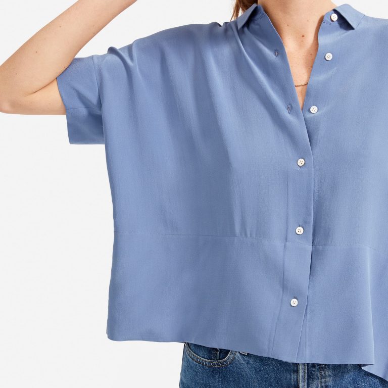 The Silk Blouse