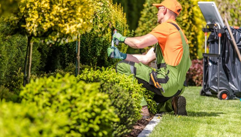 landscaping insurance