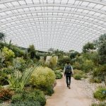Way of Cultivation