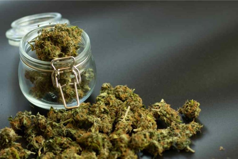 the hemp store delta 8 thc & cbd
