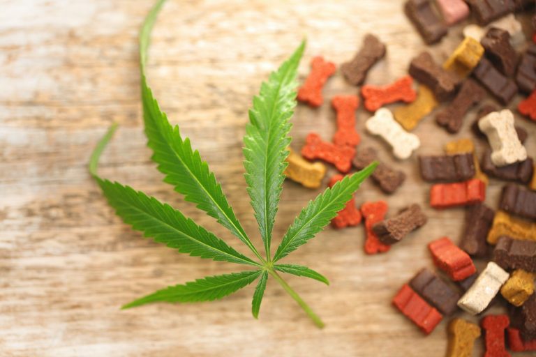 Benefits of CBD