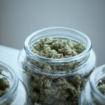The Medical Future of THCA Flower: A New Frontier
